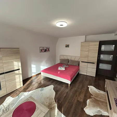 Gdanskie Apartamenty - Apartamenty Na Sw Ducha - Gdanskie Poddasza Z Jacuzzi I De Luxe Apartment